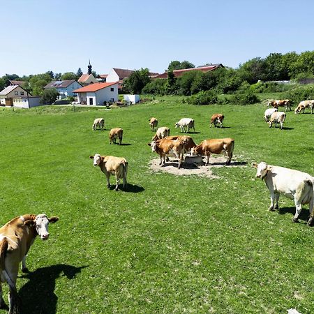 Wo Sich Kuh, Fuchs Und Hase Gute Nacht Sagen Apartman Wolfsegg Kültér fotó